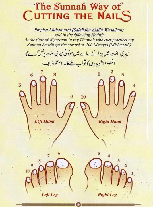 Sunnah-Way-of-Cutting-Nails