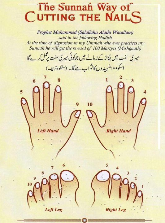 Sunnah Way of Cutting Nails