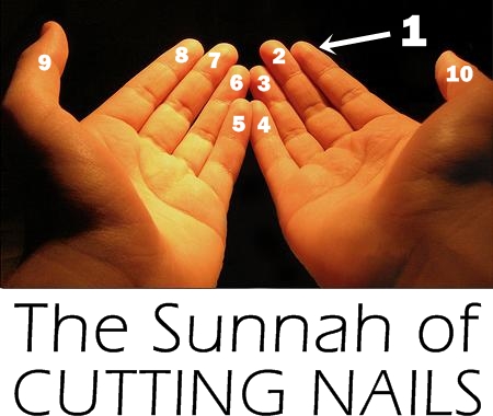 The Sunnah Of Cutting Nails - Sew Some Stuff
