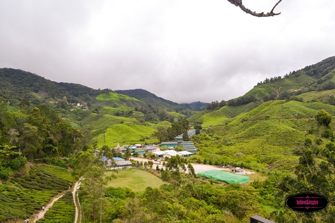 Traveling Malaysia - Cameron Highlands Boh Tea Farm4